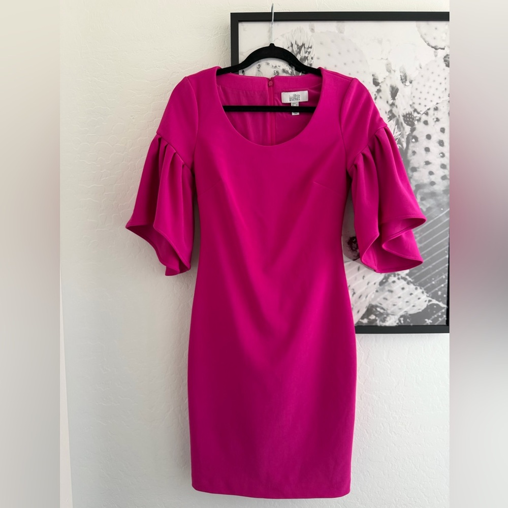Badgley Mischka Fuchsia Flutter Ruffle Long Sleeve Mini Dress size 2